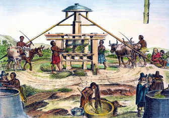 Dutch_Slave_Trade.jpg